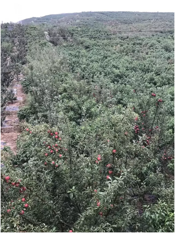 w88win�ŵ¡�(�й�)�ֻ������